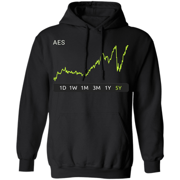 AES Stock 5y Pullover Hoodie